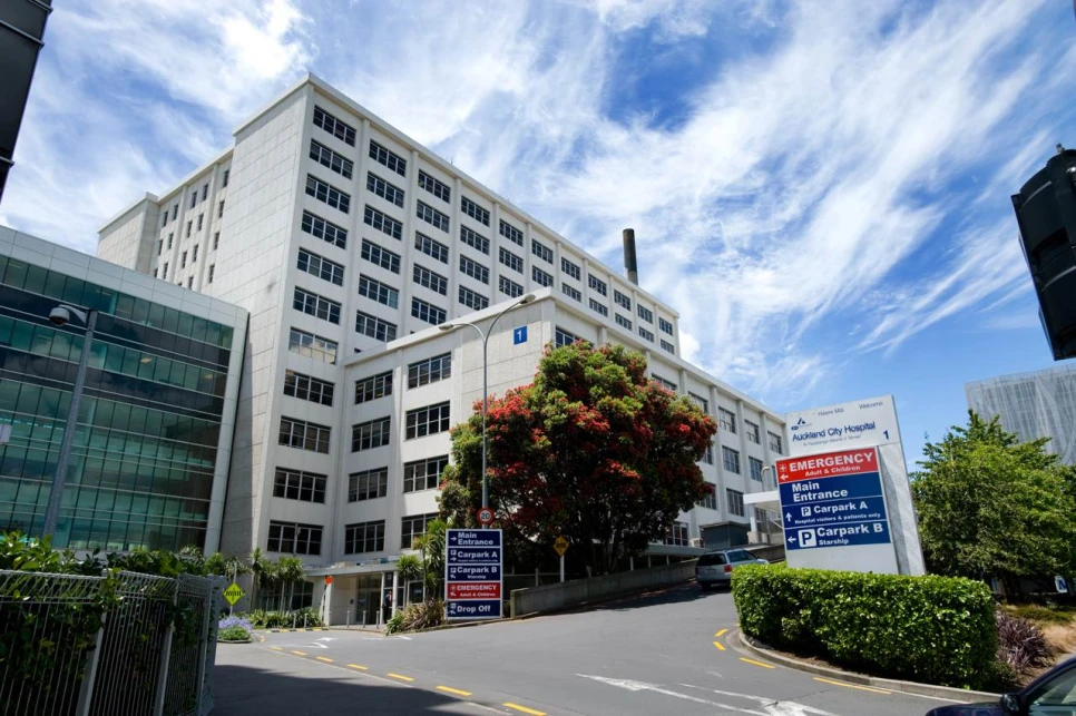 auckland city hospital