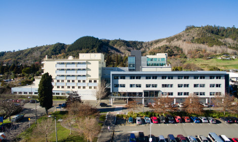Nelson hospital